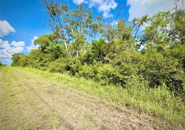 Photo 3 of Land for sale at 0 County Rd 121 Off Nar, Rosharon, TX 77583 | MLS# 42859703 | Listing updated on 2026-09-27