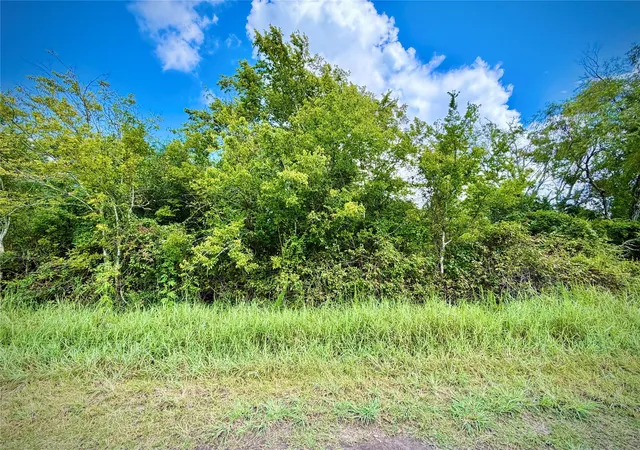 Photo 4 of Land for sale at 0 County Rd 121 Off Nar, Rosharon, TX 77583 | MLS# 42859703 | Listing updated on 2026-09-27
