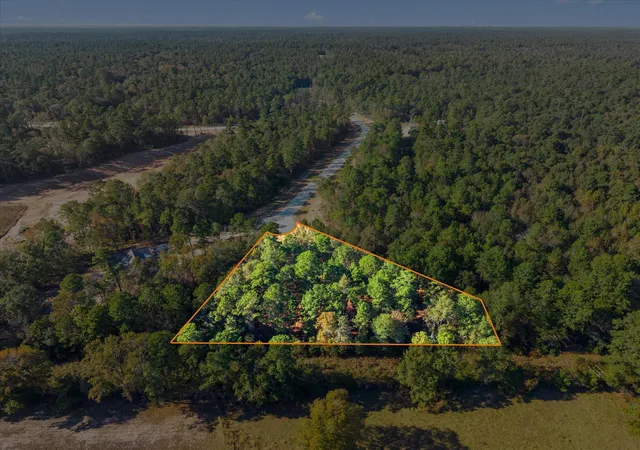 Photo 3 of Land for sale at 195 Bunkhouse Rd, New Waverly, TX 77358 | MLS# 93417004 | Listing updated on 2026-09-10