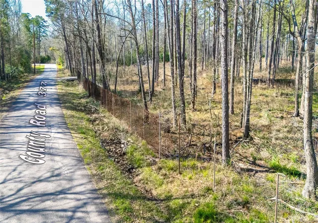Photo 3 of Land for sale at Tbd County Rd 377, Cleveland, TX 77327 | MLS# 65240144 | Listing updated on 2026-09-21