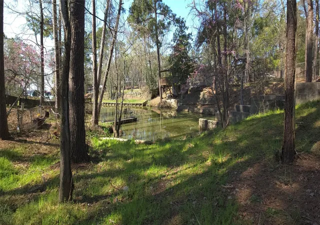 Photo 1 of Land for sale at 0 Big Deer Dr, Crosby, TX 77532 | MLS# 23441540 | Listing updated on 2026-09-11