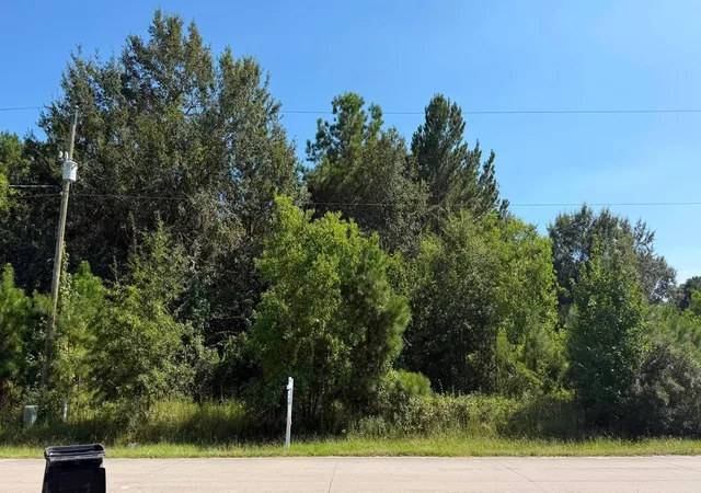 Photo 4 of Land for sale at 1616 County Rd 3404, Cleveland, TX 77327 | MLS# 92172809 | Listing updated on 2026-09-05