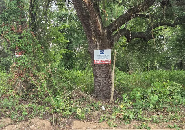Photo 3 of Land for sale at 107 S San Jacinto St, Conroe, TX 77301 | MLS# 36889636 | Listing updated on 2026-09-09