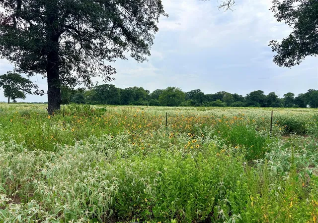 Photo 2 of Land for sale at 11529 Winstead Ln, Calvert, TX 77837 | MLS# 25090084 | Listing updated on 2026-09-19