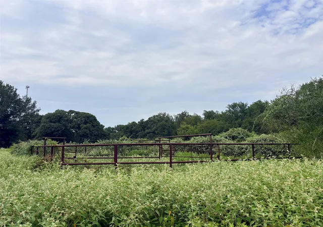Photo 3 of Land for sale at 11529 Winstead Ln, Calvert, TX 77837 | MLS# 25090084 | Listing updated on 2026-09-19