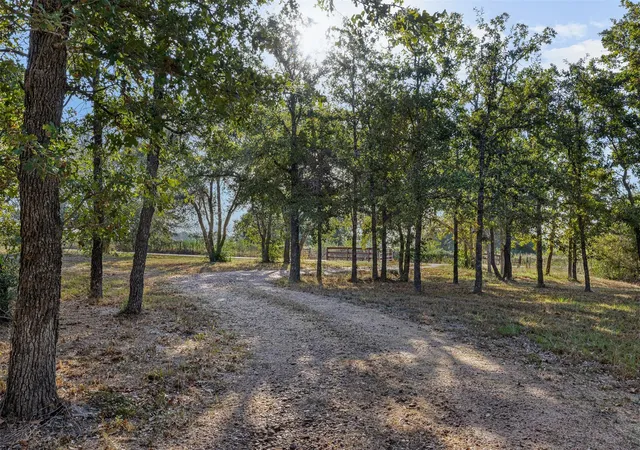 Photo 3 of Land for sale at 5501 Mach Rd, La Grange, TX 78945 | MLS# 26271670 | Listing updated on 2026-09-19