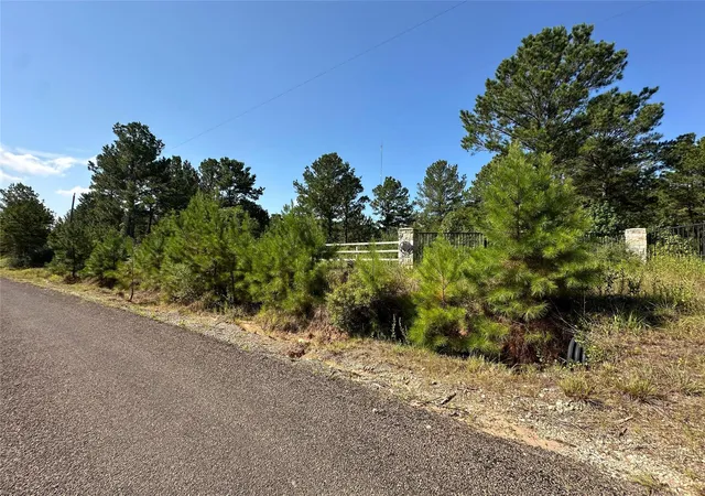 Photo 3 of Land for sale at 1034 Lloyd Bell Rd, Trinity, TX 75862 | MLS# 71245742 | Listing updated on 2026-09-09