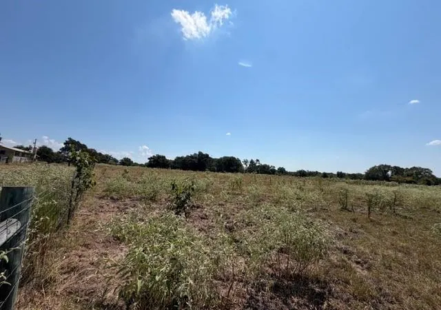 Photo 2 of Sale Pending at 2 Ac Acr 2604, Tennessee Colony, TX 75861 | MLS# 47845141 | Listing updated on 2026-09-02