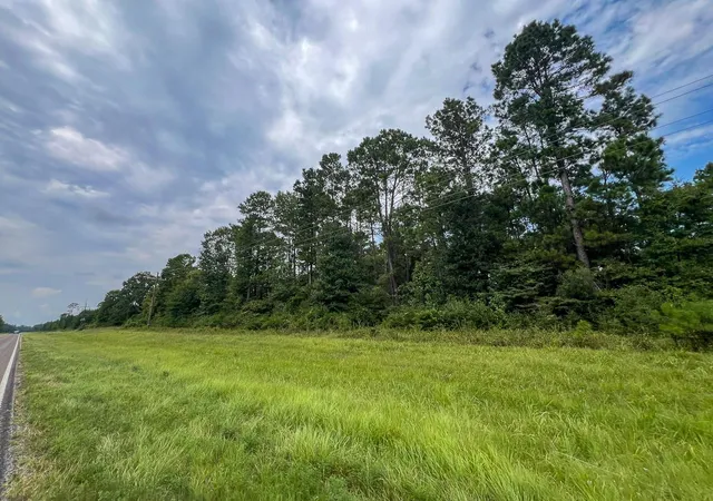 Photo 2 of Land for sale at 34 Highway 94 Rd, Groveton, TX 75845 | MLS# 21439629 | Listing updated on 2026-09-03