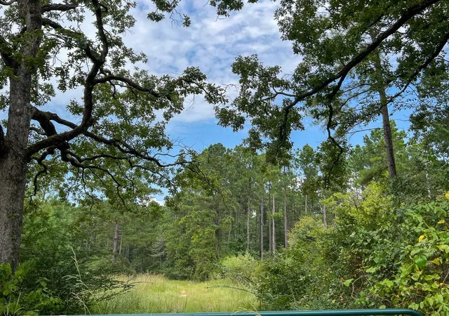 Photo 4 of Land for sale at 34 Highway 94 Rd, Groveton, TX 75845 | MLS# 21439629 | Listing updated on 2026-09-03