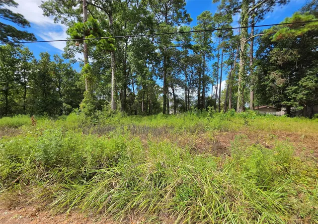 Photo 1 of Land for sale at 156 Lakeview Dr, Onalaska, TX 77360 | MLS# 13807458 | Listing updated on 2026-09-08