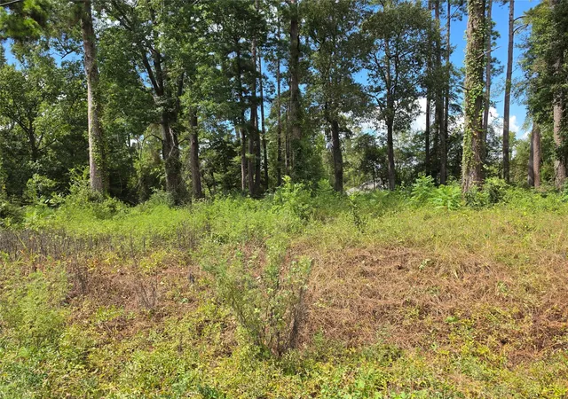 Photo 2 of Land for sale at 156 Lakeview Dr, Onalaska, TX 77360 | MLS# 13807458 | Listing updated on 2026-09-08