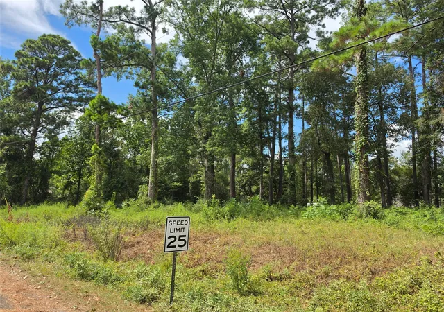 Photo 3 of Land for sale at 156 Lakeview Dr, Onalaska, TX 77360 | MLS# 13807458 | Listing updated on 2026-09-08