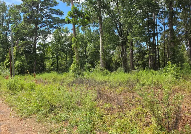 Photo 3 of Land for sale at 156 Lakeview Dr, Onalaska, TX 77360 | MLS# 13807458 | Listing updated on 2026-09-08