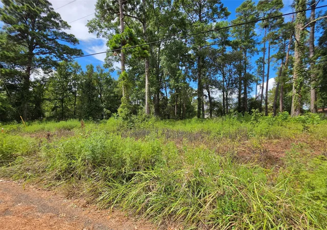Photo 4 of Land for sale at 156 Lakeview Dr, Onalaska, TX 77360 | MLS# 13807458 | Listing updated on 2026-09-08
