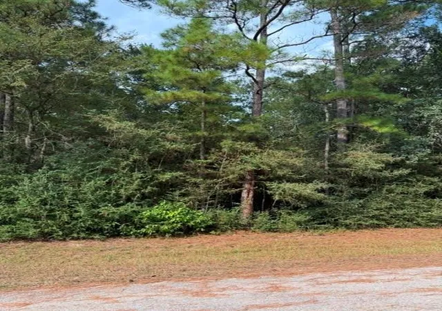 Photo 3 of Land for sale at 00 Tdb Little John Cir, Hockley, TX 77447 | MLS# 73346698 | Listing updated on 2026-09-03