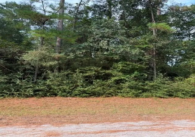 Photo 4 of Land for sale at 00 Tdb Little John Cir, Hockley, TX 77447 | MLS# 73346698 | Listing updated on 2026-09-03