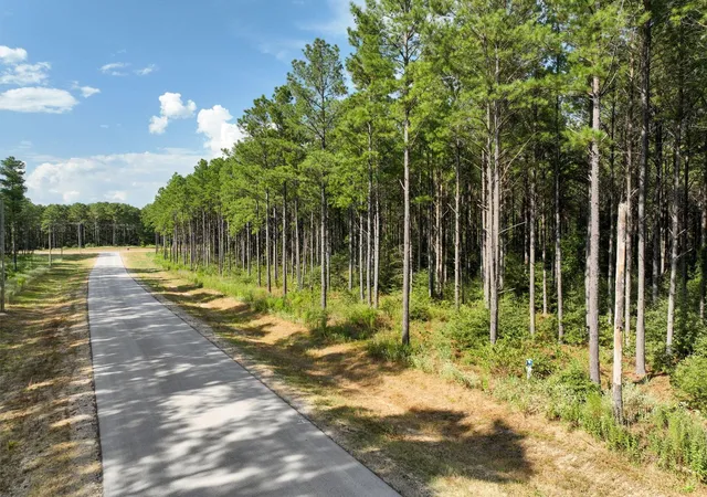 Photo 3 of Land for sale at Lot 74 Huntsman Ln, Huntsville, TX 77340 | MLS# 82747412 | Listing updated on 2026-09-03