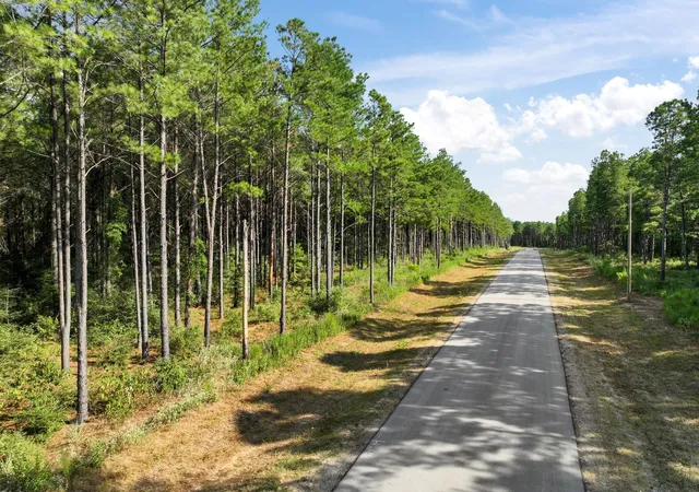 Photo 4 of Land for sale at Lot 74 Huntsman Ln, Huntsville, TX 77340 | MLS# 82747412 | Listing updated on 2026-09-03