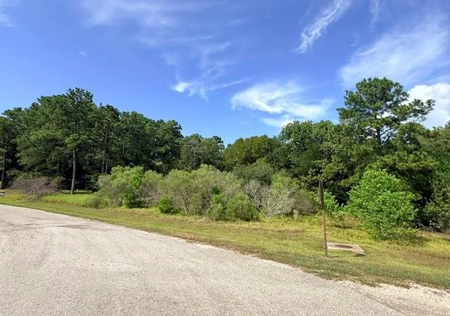 Photo 2 of Land for sale at Tbd0 Kings Point Dr, Coldspring, TX 77331 | MLS# 43587292 | Listing updated on 2026-09-09