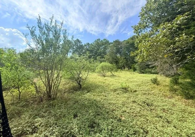Photo 2 of Land for sale at Tbd0 Kings Point Dr, Coldspring, TX 77331 | MLS# 43587292 | Listing updated on 2026-09-09
