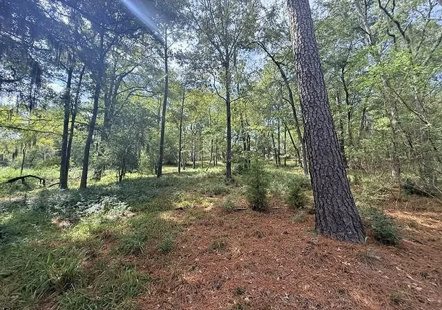 Photo 3 of Land for sale at Tbd0 Kings Point Dr, Coldspring, TX 77331 | MLS# 43587292 | Listing updated on 2026-09-09