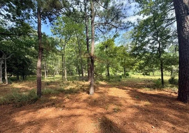 Photo 4 of Land for sale at Tbd0 Kings Point Dr, Coldspring, TX 77331 | MLS# 43587292 | Listing updated on 2026-09-09