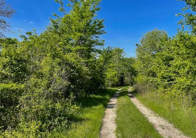 Photo 1 of Land for sale at 8763 Fm 356, Trinity, TX 75862 | MLS# 16494903 | Listing updated on 2026-09-16