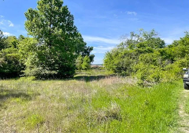 Photo 2 of Land for sale at 8763 Fm 356, Trinity, TX 75862 | MLS# 16494903 | Listing updated on 2026-09-16