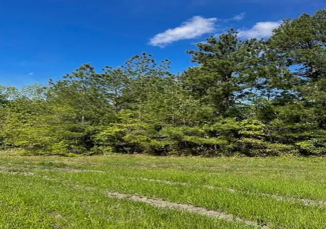 Photo 3 of Land for sale at 8763 Fm 356, Trinity, TX 75862 | MLS# 16494903 | Listing updated on 2026-09-16