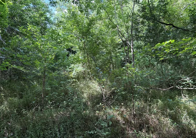 Photo 1 of Land for sale at 0 Donna St, Houston, TX 77048 | MLS# 87859138 | Listing updated on 2026-09-08
