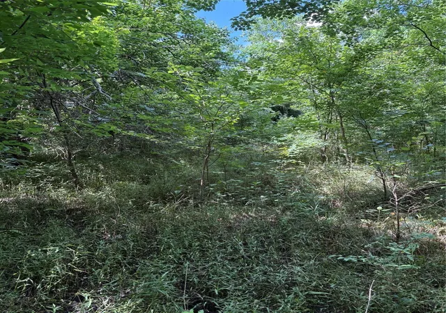 Photo 2 of Land for sale at 0 Donna St, Houston, TX 77048 | MLS# 87859138 | Listing updated on 2026-09-08