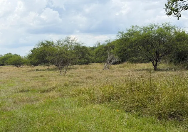 Photo 1 of Land for sale at 0 County Rd 449, West Columbia, TX 77486 | MLS# 84419523 | Listing updated on 2026-09-16