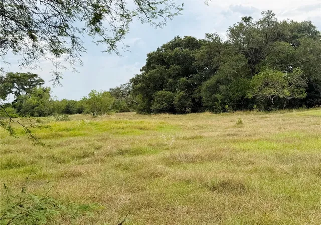 Photo 3 of Land for sale at 0 County Rd 449, West Columbia, TX 77486 | MLS# 84419523 | Listing updated on 2026-09-16