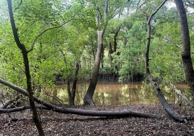 Photo 4 of Land for sale at 0 NW Hilltop Rd, East Bernard, TX 77435 | MLS# 58252143 | Listing updated on 2026-09-04