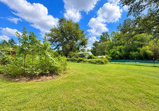 Photo 4 of Sale Pending at 1343 County Rd 2925, Colmesneil, TX 75938 | MLS# 69386495 | Listing updated on 2026-10-06