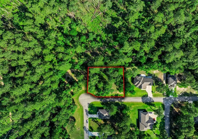 Photo 4 of Land for sale at 69 N Forest Dr, Huntsville, TX 77340 | MLS# 49735740 | Listing updated on 2026-09-21