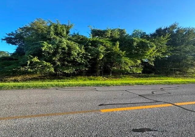 Photo 1 of Land for sale at 1103 W Point Dr, Rosharon, TX 77583 | MLS# 94341258 | Listing updated on 2026-09-09