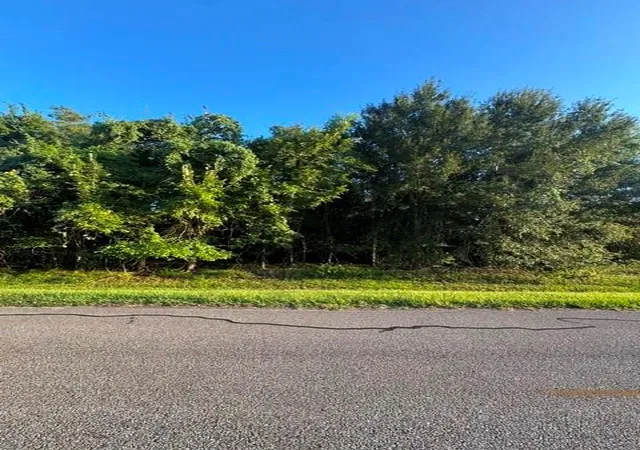 Photo 3 of Land for sale at 1103 W Point Dr, Rosharon, TX 77583 | MLS# 94341258 | Listing updated on 2026-09-09