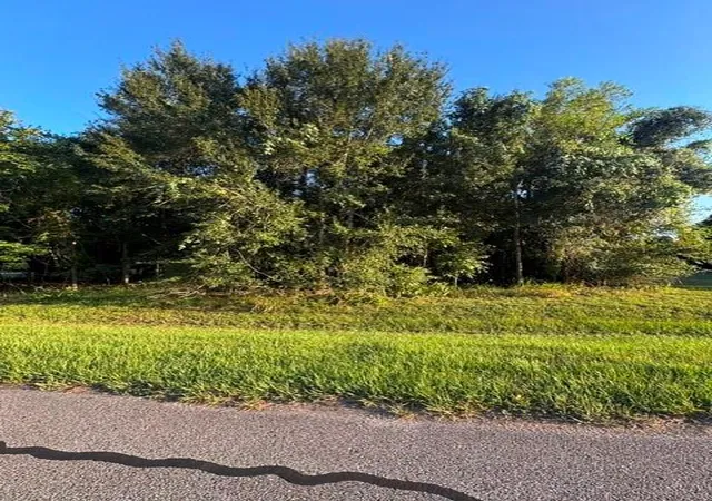 Photo 4 of Land for sale at 1103 W Point Dr, Rosharon, TX 77583 | MLS# 94341258 | Listing updated on 2026-09-09
