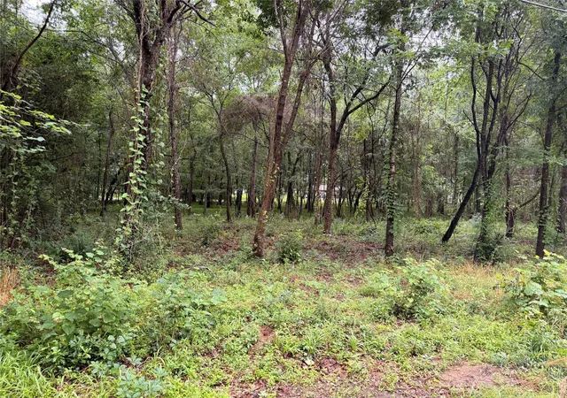 Photo 15 of Land for sale at 5265 Pecan Tree Ln, Montgomery, TX 77316 | MLS# 88472329 | Listing updated on 2026-09-01