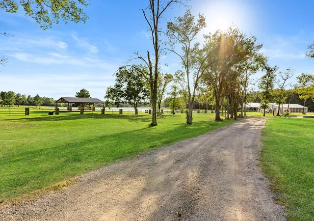 Photo 11 of Land for sale at 16086 Forest Ml Rd, Willis, TX 77378 | MLS# 71946036 | Listing updated on 2026-09-07