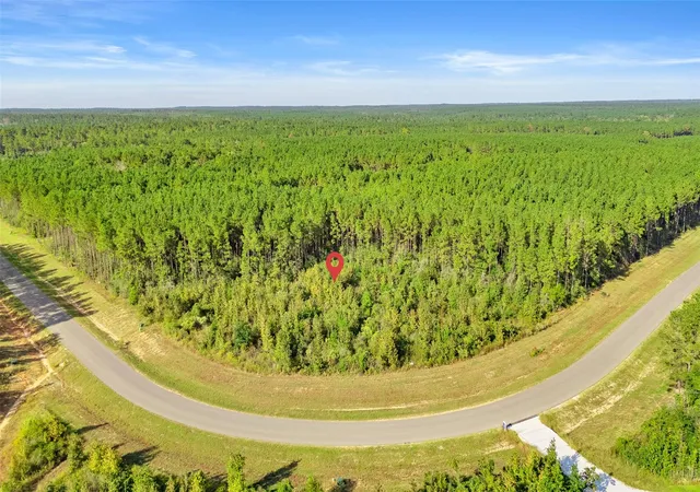 Land for sale at 16086 Forest Ml Rd, Willis, TX 77378 | MLS# 71946036