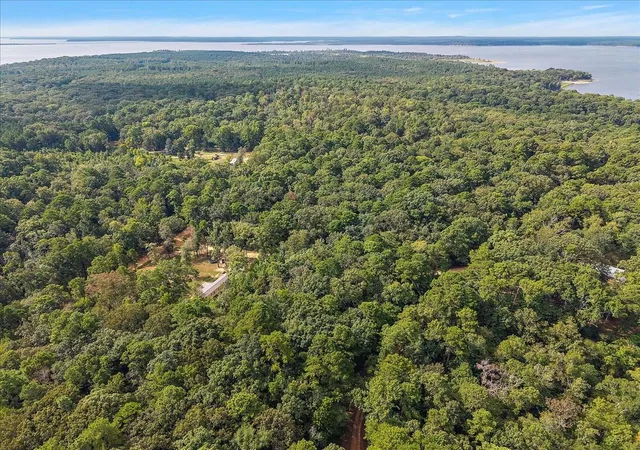 Photo 14 of Land for sale at 001 White Oak Dr, Etoile, TX 75944 | MLS# 49306592 | Listing updated on 2026-10-06