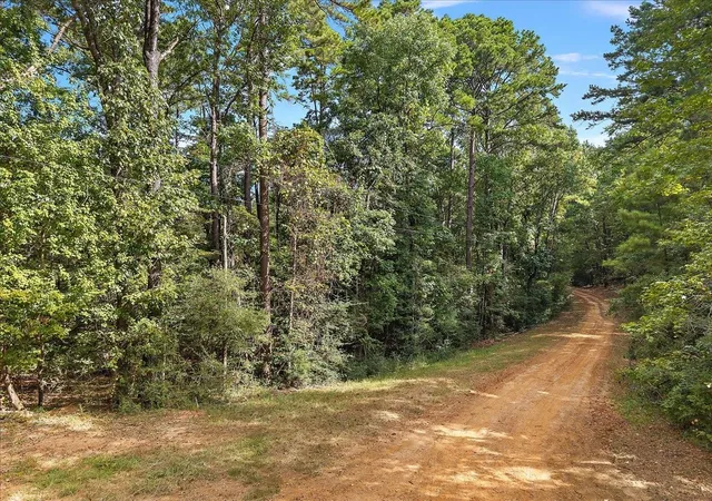 Photo 2 of Land for sale at 001 White Oak Dr, Etoile, TX 75944 | MLS# 49306592 | Listing updated on 2026-10-06