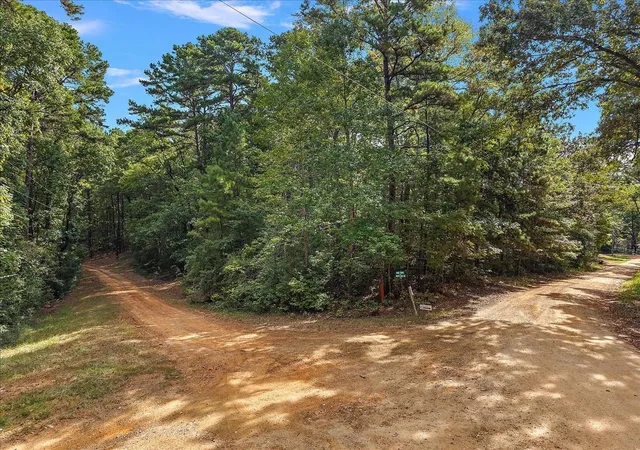 Photo 3 of Land for sale at 001 White Oak Dr, Etoile, TX 75944 | MLS# 49306592 | Listing updated on 2026-10-06