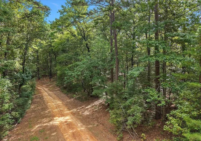 Photo 3 of Land for sale at 001 White Oak Dr, Etoile, TX 75944 | MLS# 49306592 | Listing updated on 2026-10-06