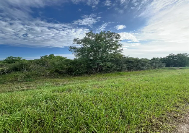 Photo 1 of Land for sale at 0000 County Rd 246 W Ave, Matagorda, TX 77457 | MLS# 50055880 | Listing updated on 2026-09-11