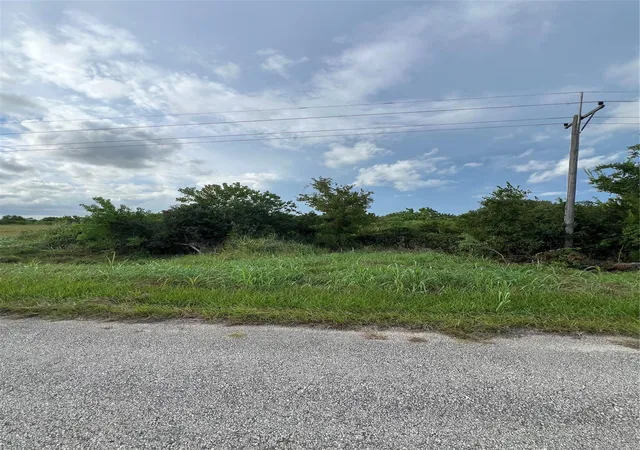 Photo 2 of Land for sale at 0000 County Rd 246 W Ave, Matagorda, TX 77457 | MLS# 50055880 | Listing updated on 2026-09-11