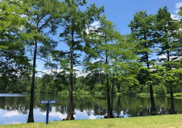 Photo 27 of Single family home for sale at 381 Mulberry Crk St, Conroe, TX 77304 | MLS# 51983898 | Listing updated on 2026-09-04
